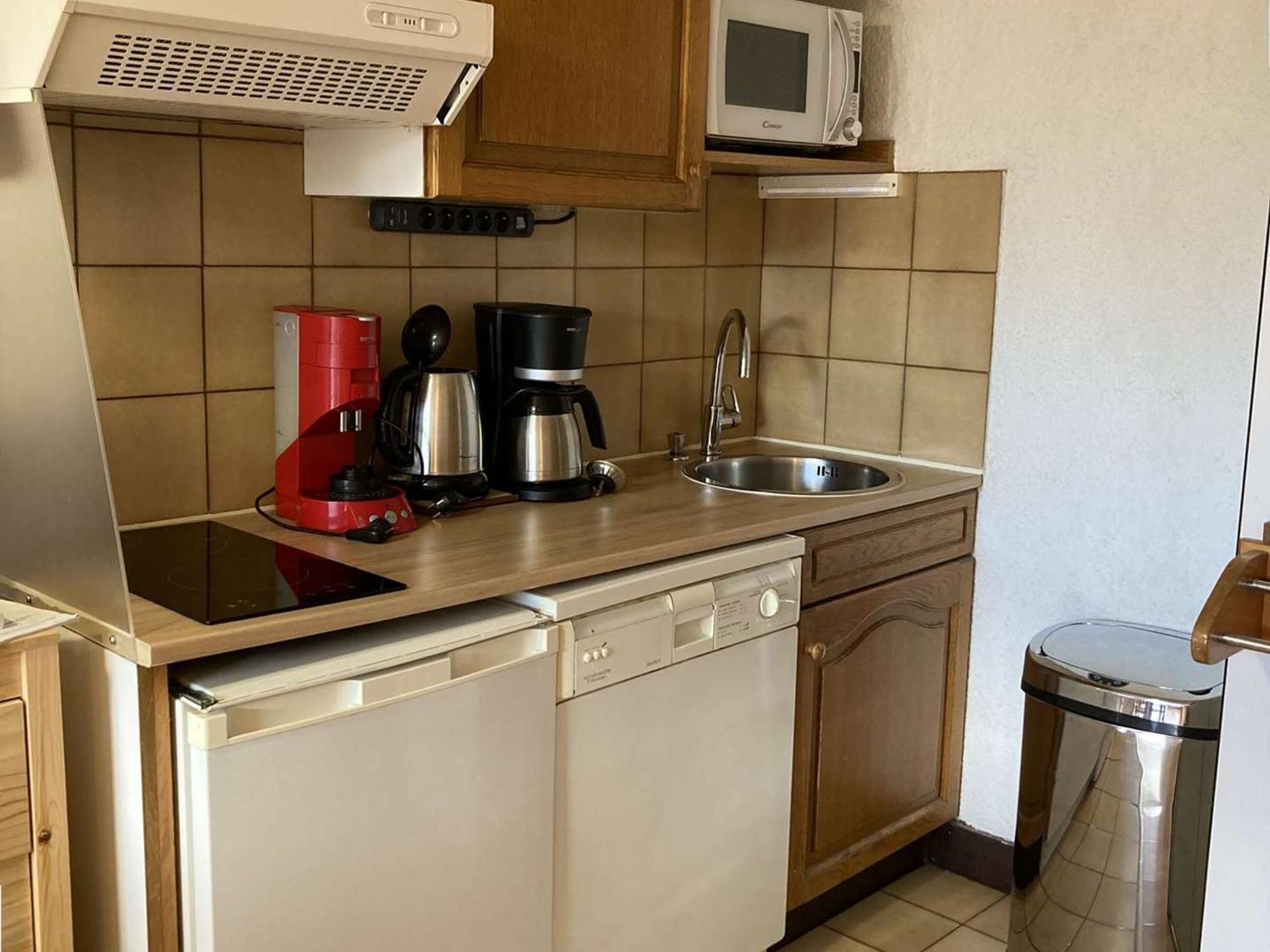 Chaleureux Pour 4 Pers. Au Pied Des Pistes - L'alpe D'huez - Fr-1-405-19 Apartment